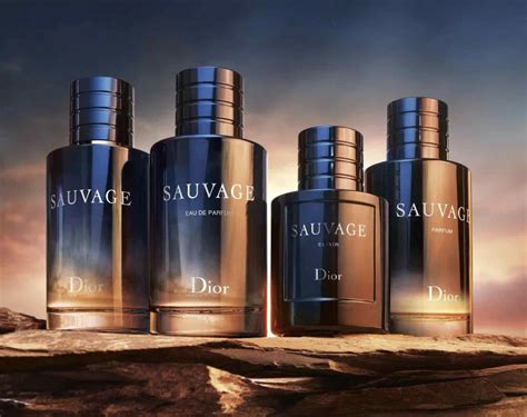 which sauvage dior is the best|difference between sauvage and elixir.